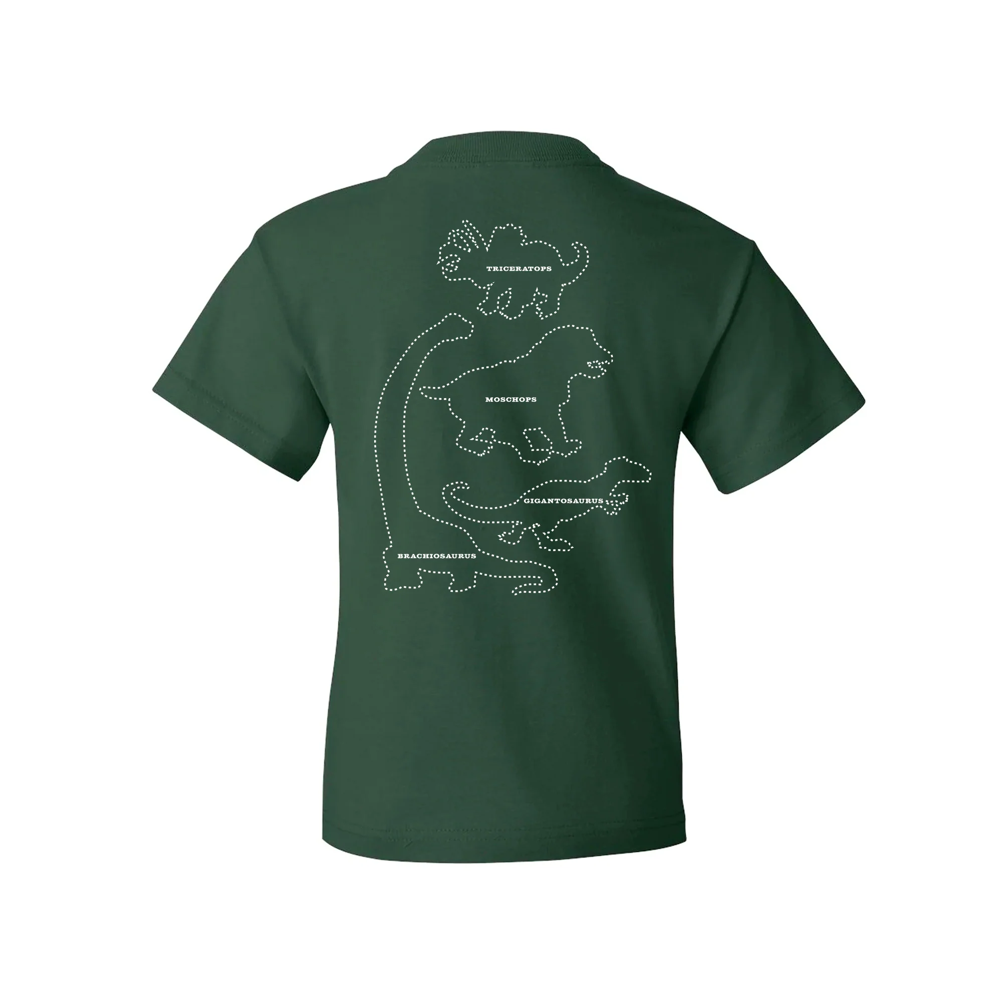Dino Shirt (Youth) - Image 3