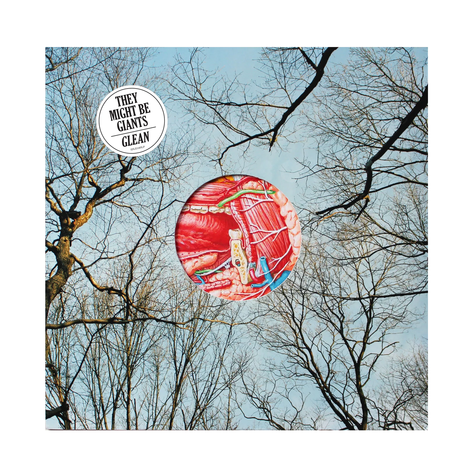 Glean Clear with Red Wisps 180g Vinyl - Image 2